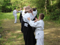 IMG_5408 (1)